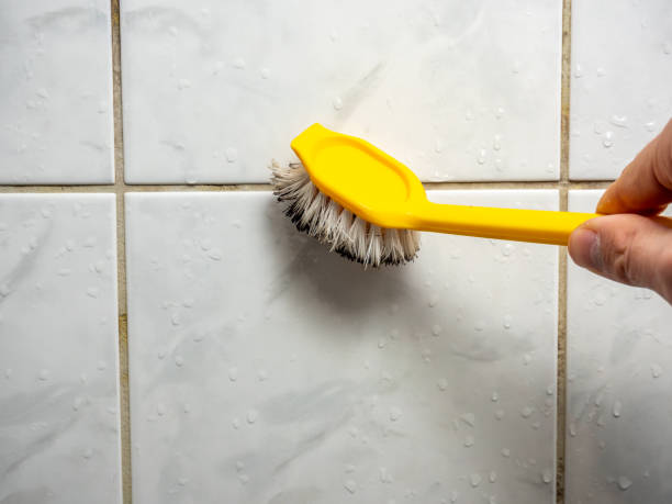 Best Mold Remediation for Schools in Eaton, OH