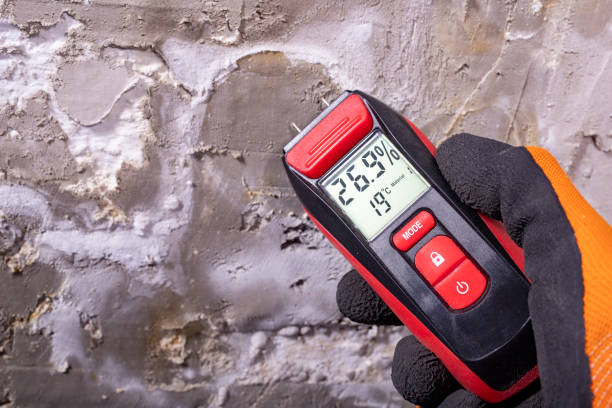 Best Localized Mold Remediation (e.g., coastal areas, humid climates) in Eaton, OH