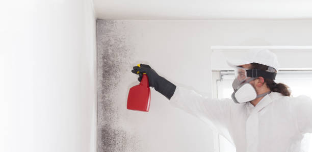 Best HVAC Mold Remediation in Eaton, OH