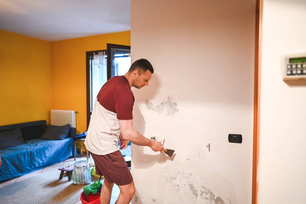 Best Bathroom Mold Remediation in Eaton, OH
